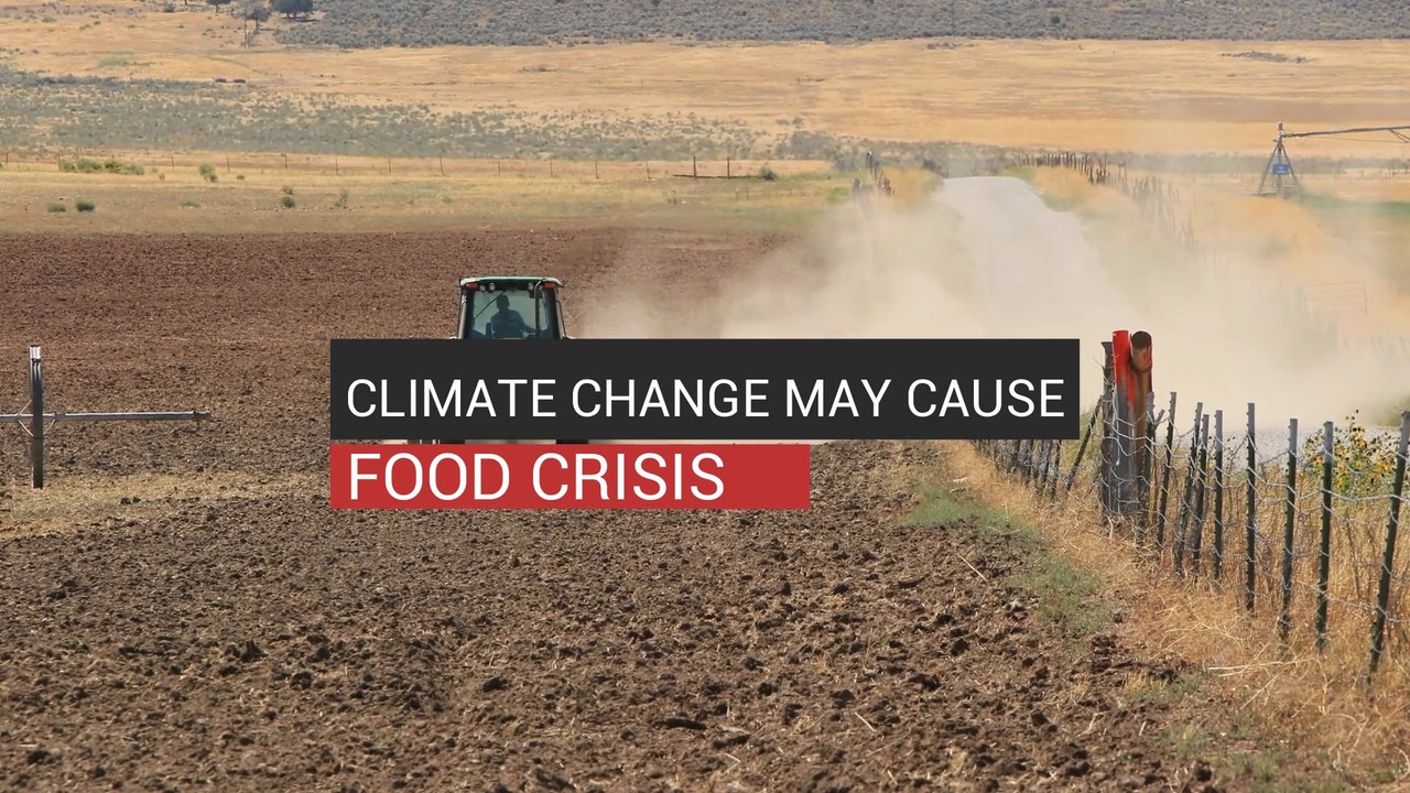 Climate Change Causing Food Crisis