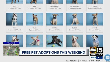 Things to do over the weekend August 9 to August 11