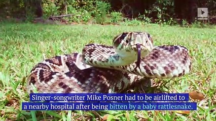 Mike Posner Bitten by Rattlesnake While Walking Across America