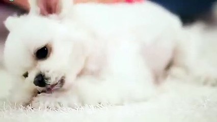 예천출장안마 -후불100%ョØ1ØM2997M5327｛카톡WD777｝ 예천전지역출장안마 예천오피걸 예천출장마사지 예천안마 예천출장마사지 예천콜걸샵≬≉≜