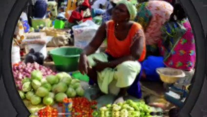 [Gros plan] Service national d'hygiène : Une sentinelle désarmée