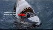 Is It Alive? Megalodon - Caught on Tape - New Documentary 2018