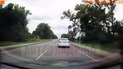 Drivers Dodge Falling Foliage