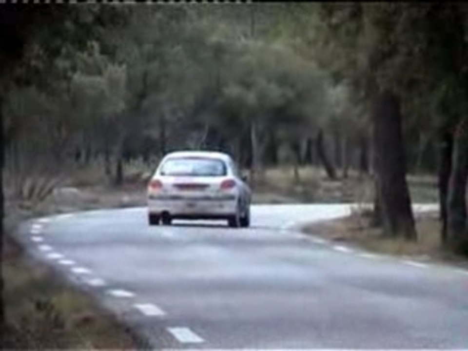 Rallye 206 rupture cauchi