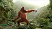 Funny Ape Song. Cartoon Parody. Dance Music Pop Songs. (Dancing Gorilla) Kids Cartoons movies
