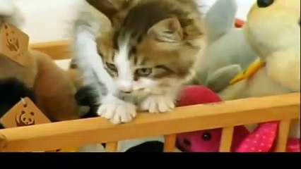 삼양출장안마 -후불100%ョOiON6622N4421｛카톡SN92｝ 삼양전지역출장안마 삼양오피걸 삼양출장마사지 삼양출장안마 삼양출장마사지 삼양출장콜걸샵안마るば㌰