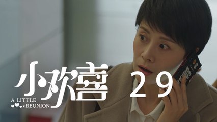 小歡喜 29  A Little Reunion 29（黃磊、海清、陶虹等主演）
