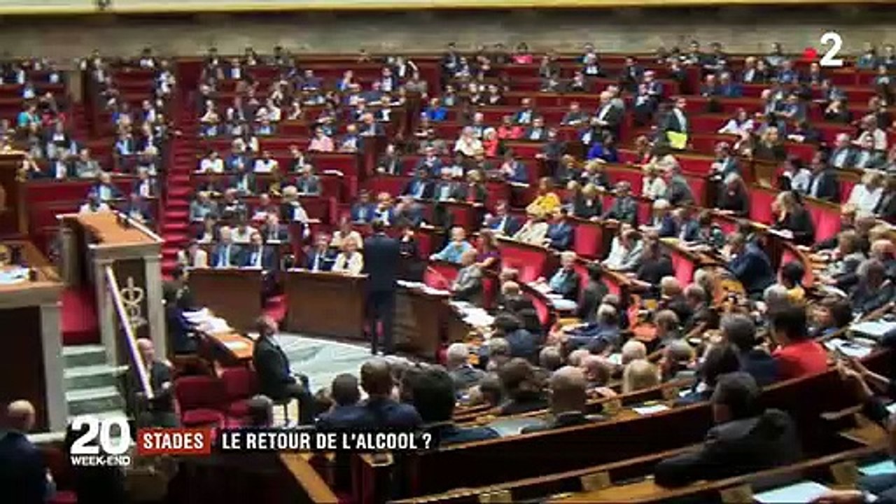 La ministre de la Santé, Agnès Buzyn, opposée à l’hypothèse d’un retour de l’alcool dans les stades: "La ferveur n’a pas besoin d’alcool pour s’exprimer dans nos stades" - VIDEO,