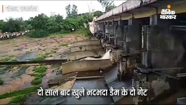 बारिश से बड़ा तालाब भरा; दो साल बाद खुले भदभदा बांध के दो गेट, देखने के लिए उमड़ी भीड़