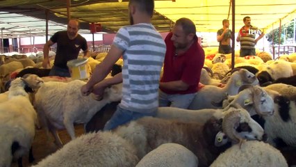 Satıcılar kurban satışından memnun