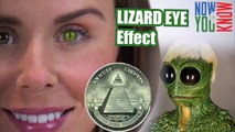How to Create a Reptilian Eye Effect in Adobe Premiere - VLearning