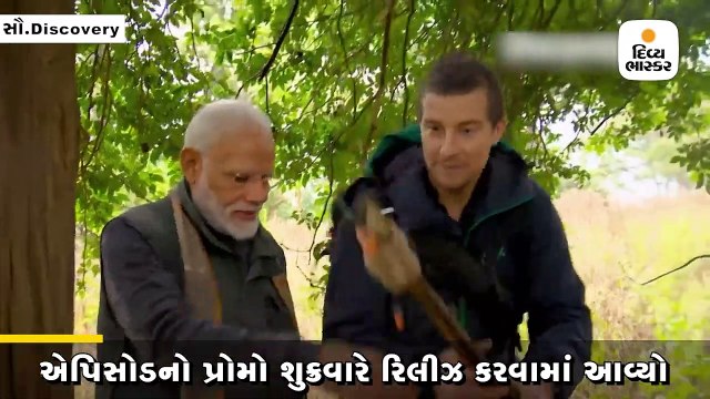 ગ્રિલ્સે કહ્યુ- વાઘ હુમલો કરે તો મારી દેજો, મોદીએ કહ્યું- મારવું અમારા સંસ્કારમાં નથી