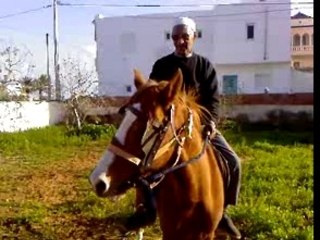 zarzis ,grand pere sur le cheval