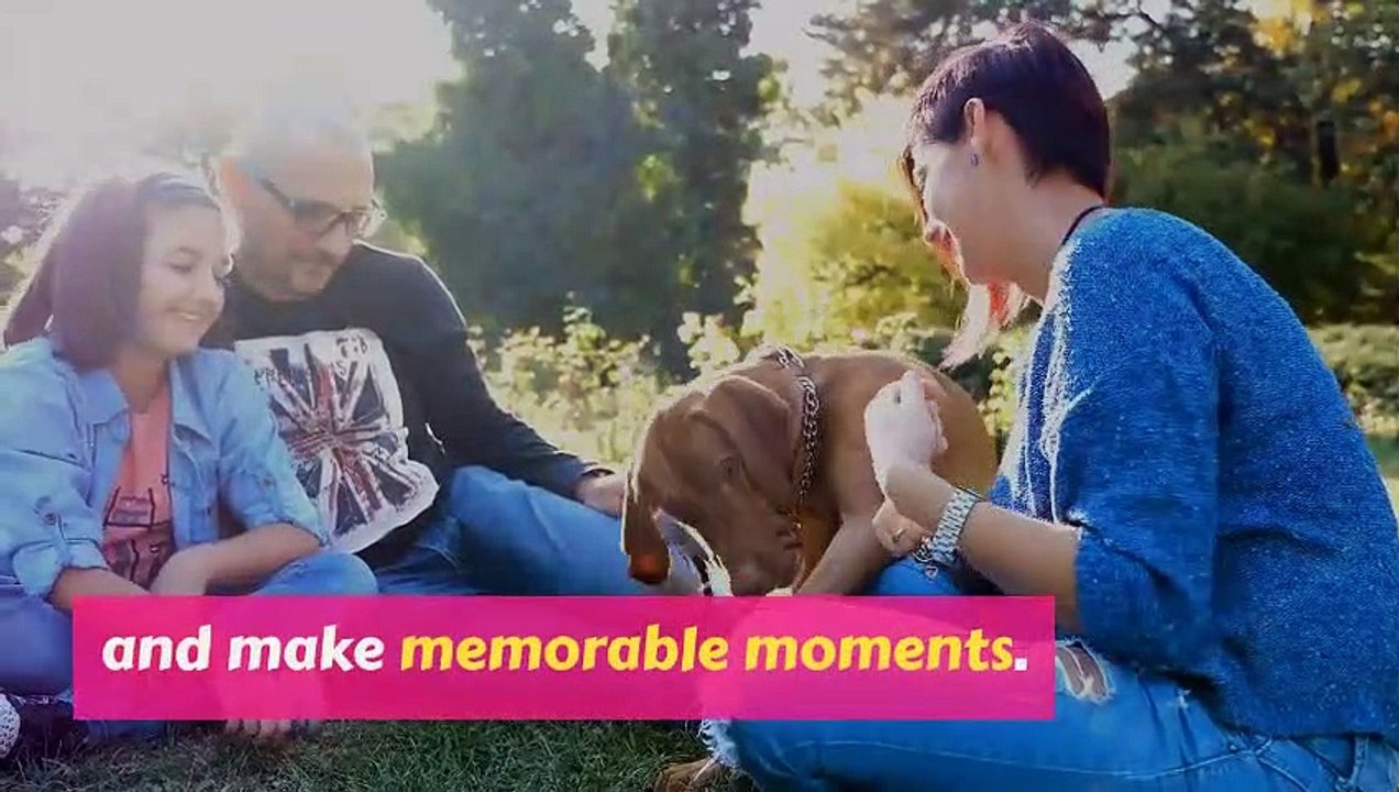 7 Ways To Celebrate Spoil Your Dog Day