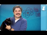 How do cats land on their feet? - Pet Lab