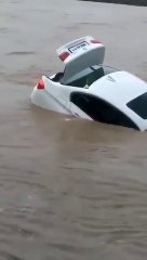 జాగ్వార్ కారు కోనివ్వలేదని బీఎండబ్ల్యూను నదిలో తోసిన హర్యానా యువకుడు (వీడియో)