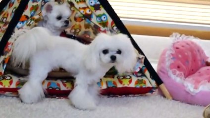 강화출장안마 -후불100%ョØ7ØE7575E0069｛카톡RD654｝ 강화전지역출장마사지 강화오피걸 강화출장안마 강화출장마사지 강화출장안마  강화출장콜걸샵안마 강화출장아로마≛⊓⾮ 강화출장샵