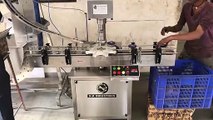 Automatic Single Head  Lug Capping Machine With Cap feeder Elevator