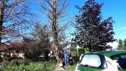 Lucette Richard, Mézériat