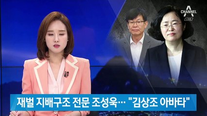 대기업 지배구조 전문 조성욱…“김상조 아바타” 평가