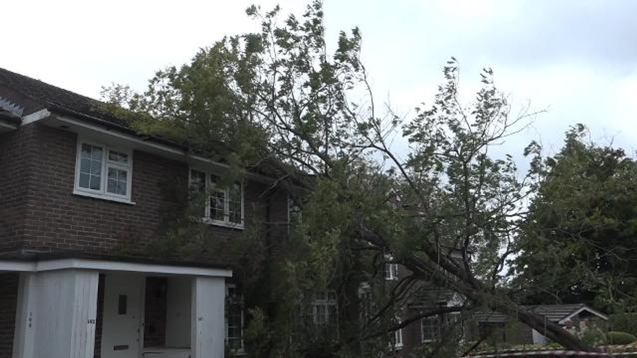 Tree on house, The Welkin, Lindfield 10-08-19