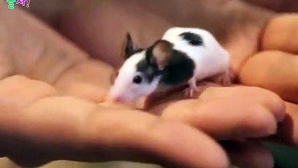 아산출장마사지 -후불100%ョØ7ØM7575M0069｛카톡CC6969｝ 아산전지역출장안마 아산오피걸 아산출장마사지 아산출장안마 아산출장마사지 아산출장콜걸샵안마 아산출장아로마 아산출장샵⊂⊂㌶