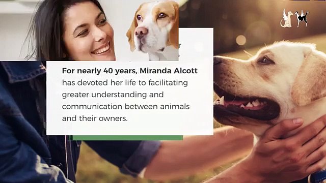 Advanced Animal Communication Counseling in Santa Monica