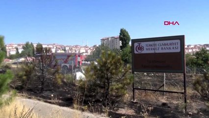 Ankara'da ot yangını korkuttu