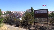 Ankara'da ot yangını korkuttu