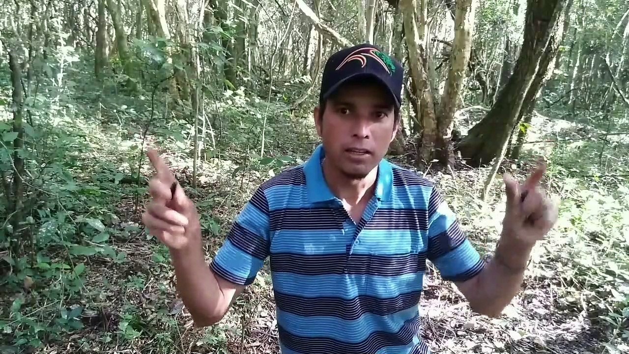 marquinho de Guarei plantando sementes de arvore