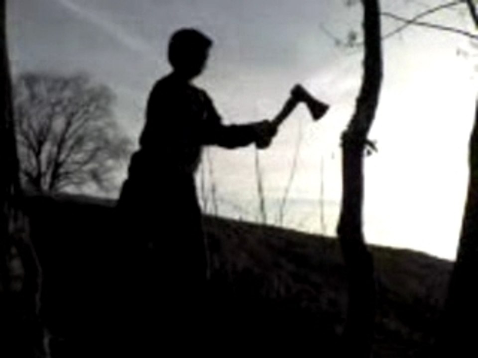Coupe un arbre 2