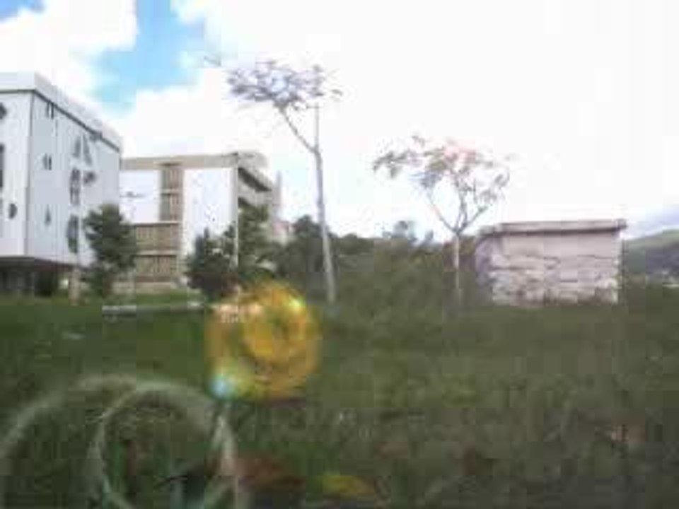 Esquilo - Primeiro video sozinho:D