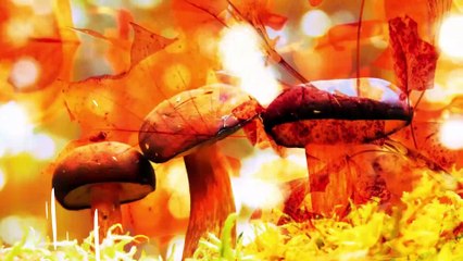 #TusNoticiasEltiempoHoy Bajan Temperaturas 10 de Agosto de 2019