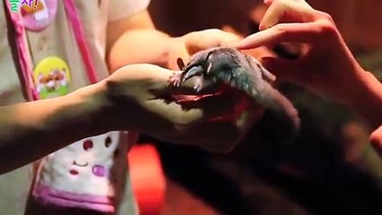 수성지구출장안마 -후불1ØØ%ョOiON7467N4367｛카톡VR91｝ 수성지구전지역출장마사지 수성지구오피걸 수성지구출장안마 수성지구출장마사지 수성지구출장안마 수성지구출장콜걸샵안마 수성지구출장아로마수성지구출장샵∋∫⾩