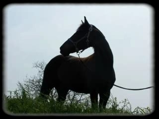 Understanding the Definition