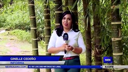 El Valle de Antón un tesoro turístico - Nex Noticias