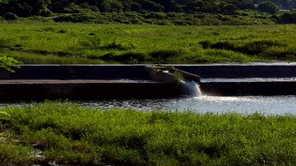 거창 하천서 다슬기 잡던 60대 남녀 숨져 / YTN