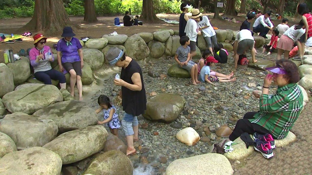 도심 속 물놀이장과 계곡 찾아 피서 즐겨요 / YTN