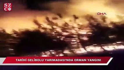 Gelibolu'da orman yangını