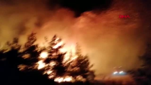 ÇANAKKALE GELİBOLU'DA ORMAN YANGINI-3