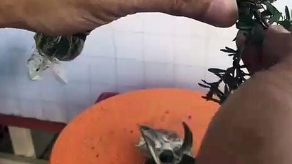 군산출장안마 -후불1ØØ%ョØ1ØM7685M6221｛카톡MGM1472｝ 군산전지역출장마사지 군산오피걸 군산출장안마 군산출장마사지 군산출장안마 군산출장콜걸샵안마 군산출장아로마군산출장샵⾴∐√