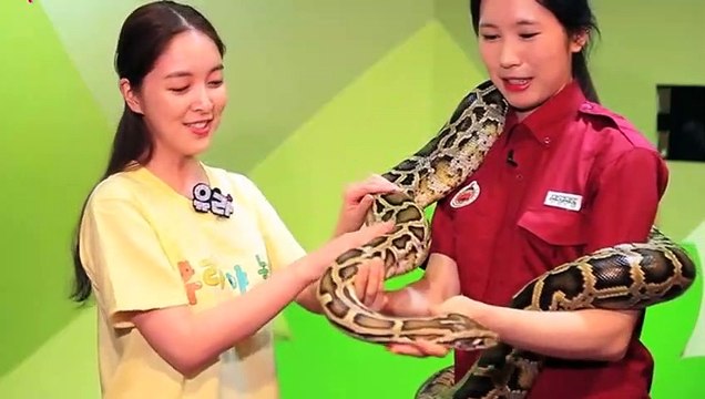 순천출장안마 -후불1ØØ%ョOiOE2997E5327｛카톡USA59｝ 순천전지역출장마사지 순천오피걸 순천출장안마 순천출장마사지 순천출장안마 순천출장콜걸샵안마 순천출장아로마⊃∠び 순천출장샵