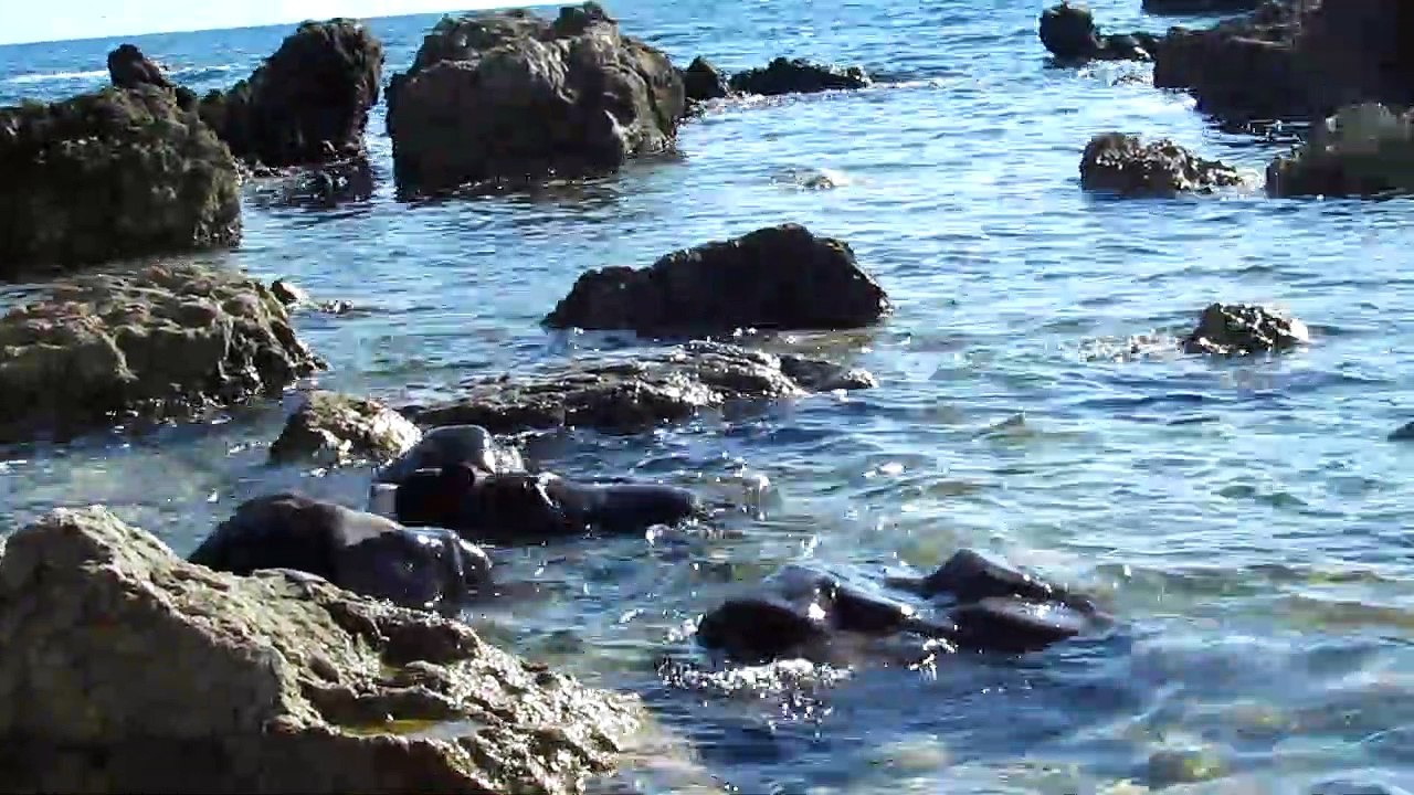 Yago al mare, giugno 2019