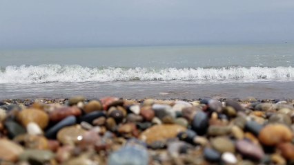 Morin khuur, Morchang, and Cigar Box Guitar