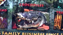Crocodilo Gigante e Barreira de Coral na Australia - EMVB - Emerson Martins Video Blog 2013