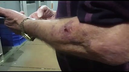 Idoso de 67 anos é agredido pelo próprio filho