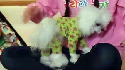 함양출장안마 -후불1ØØ%ョOiON6622N4421｛카톡SN92｝ 함양전지역출장마사지 함양오피걸 함양출장안마 함양출장마사지 함양출장안마 함양출장콜걸샵안마 함양출장아로마함양출장샵⾥ざ㍗