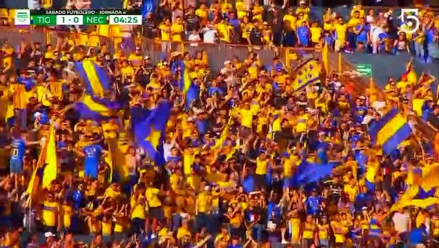 Tigres UANL vs Necaxa 3-1 All Goals & Highlights