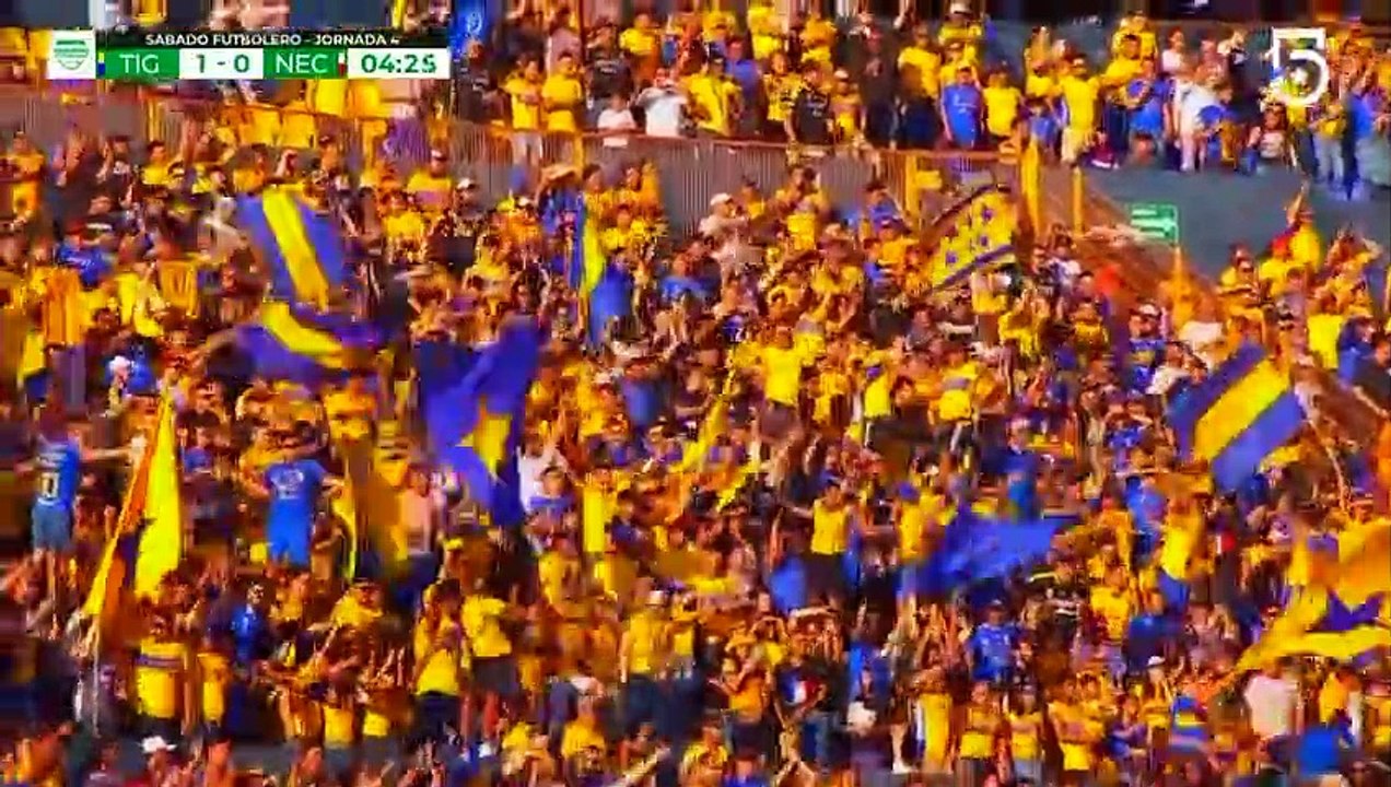 Tigres UANL vs Necaxa  3-1 All Goals & Highlights