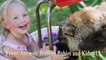 FUNNY ANIMALS TROLLING BABIES AND KIDS #13 Funny Babies and Pets